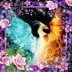 Meet your Posher, Mandy